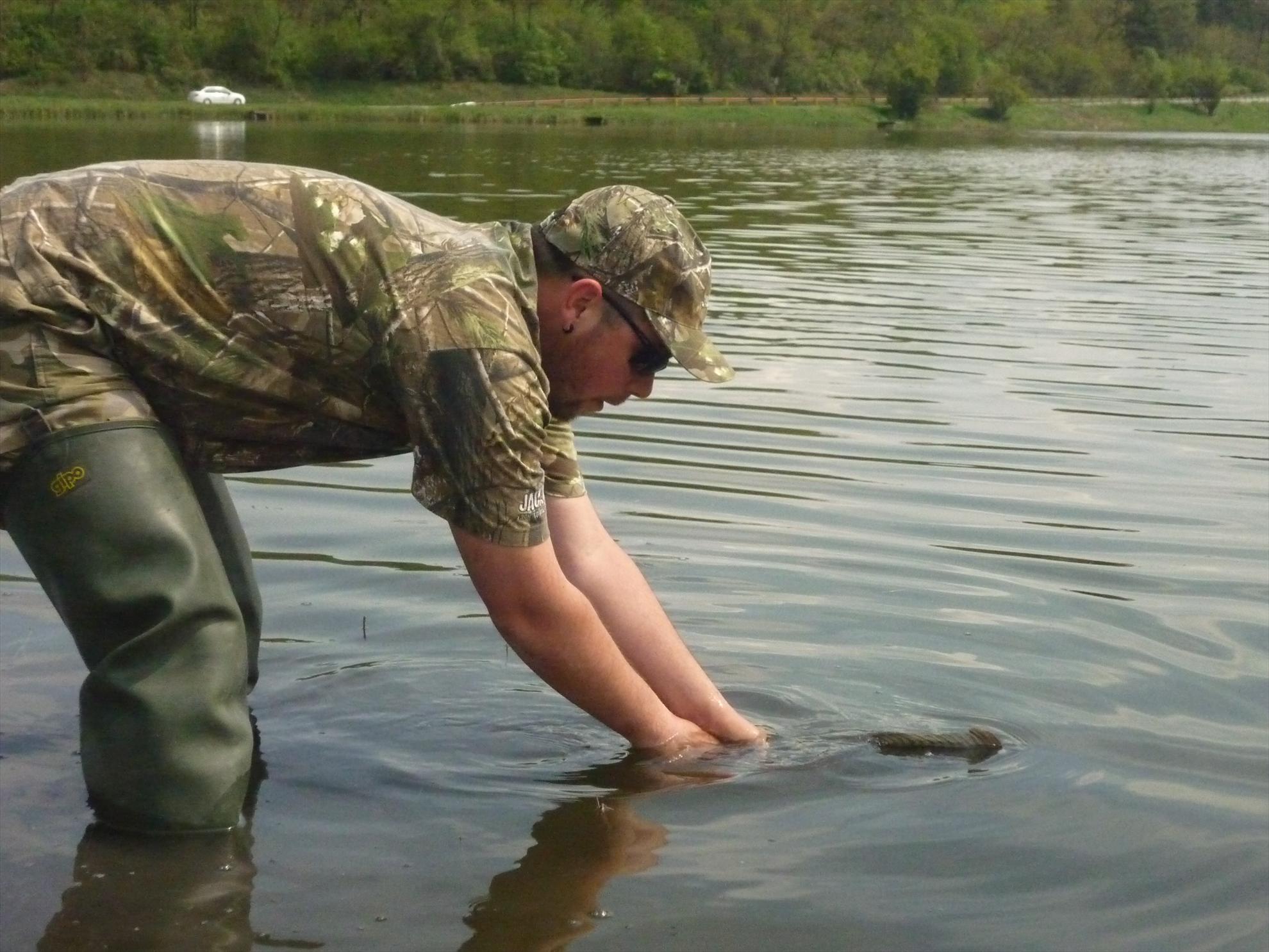 Stejeris 2011 - p1020013.JPG